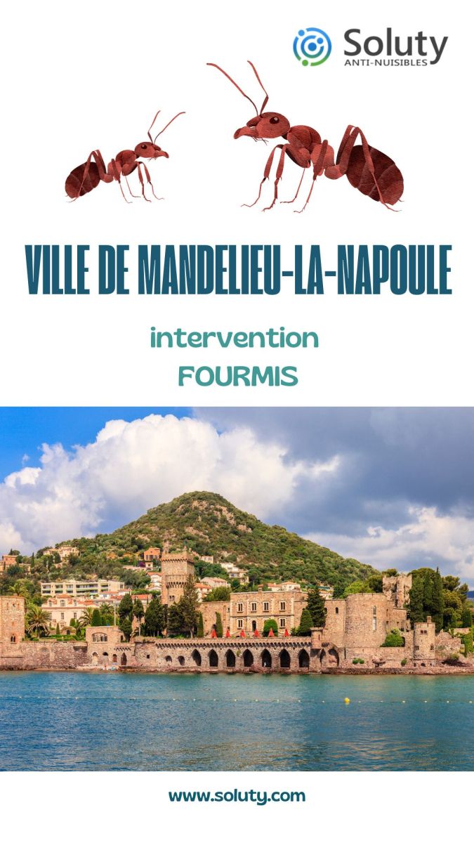 Société de désinsectisation de fourmis et exterminateur de nuisibles à Mandelieu-la-Napoule (06210)