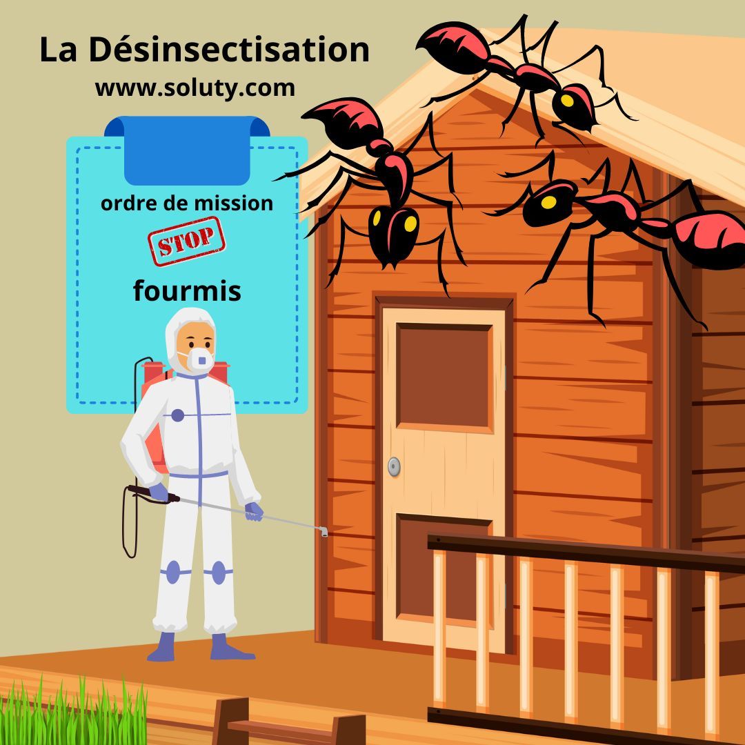 Société de désinsectisation de fourmis et exterminateur de nuisibles à Beaulieu-sur-Mer (06310)