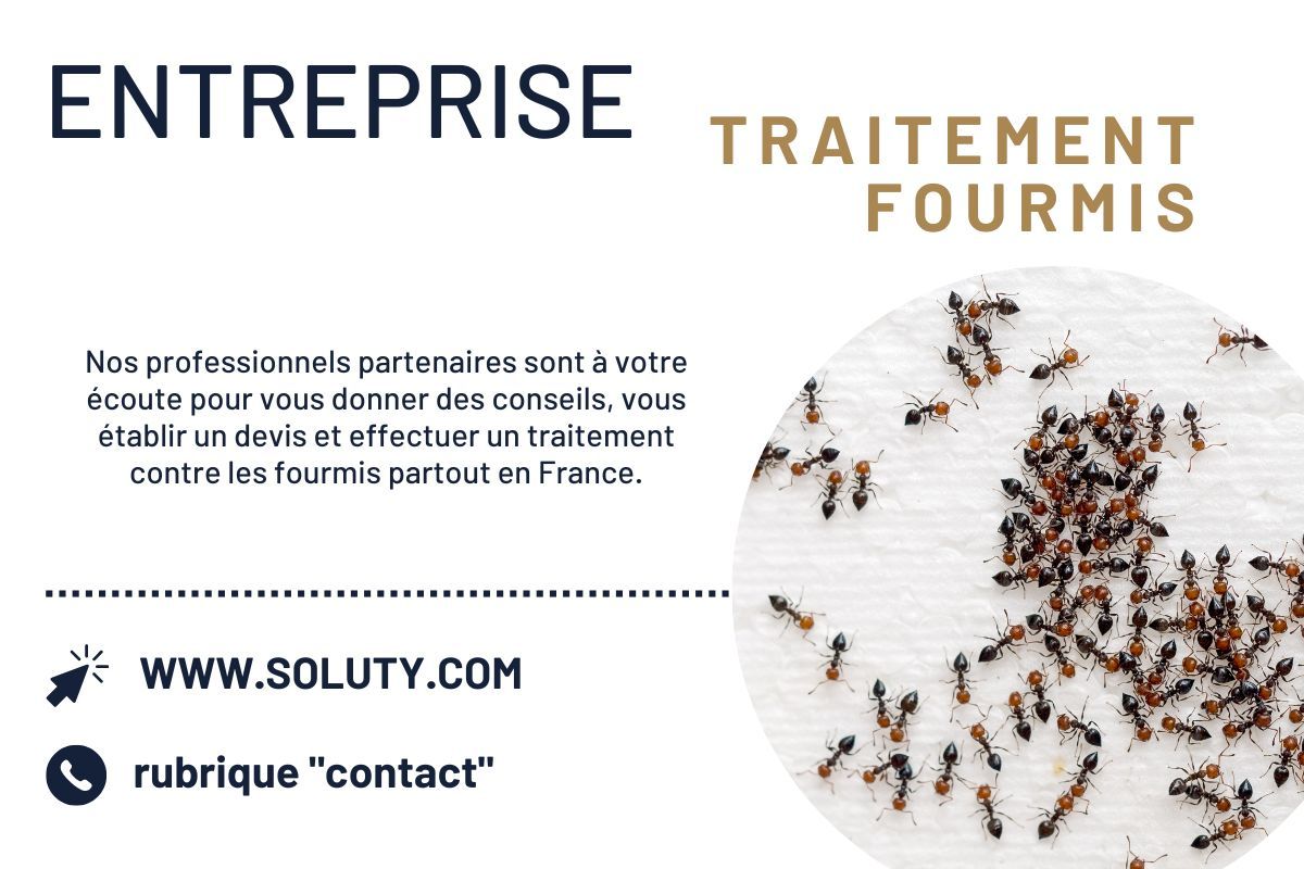 faire appel à notre spécialiste de la lutte contre les fourmis à Cap-d'Ail ?