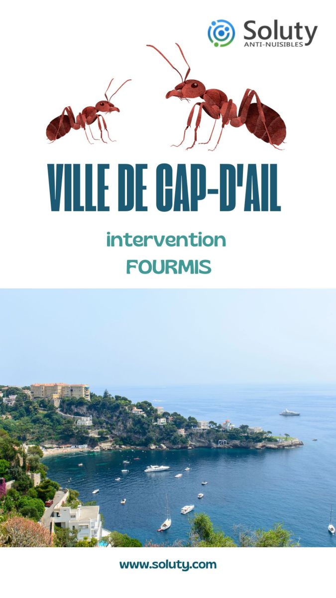 Société de désinsectisation de fourmis et exterminateur de nuisibles à Cap-d'Ail (06320)