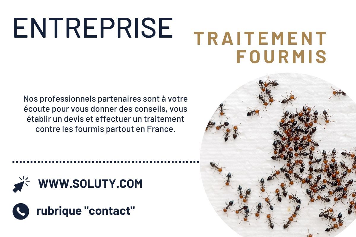 Société de désinsectisation de fourmis et exterminateur de nuisibles à La Turbie (06320)