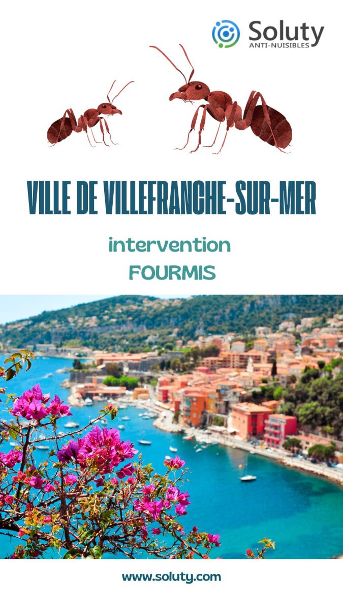 Société de désinsectisation de fourmis et exterminateur de nuisibles à Villefranche-sur-Mer (06230)