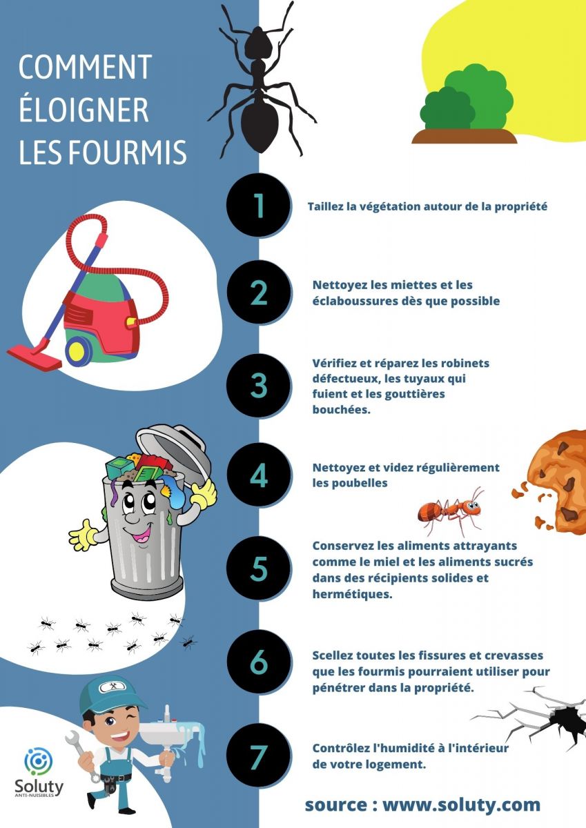 Comment éviter et se débarrasser des fourmis à Roquebrune-Cap-Martin ?