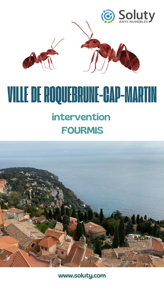 Société de désinsectisation de fourmis et exterminateur de nuisibles à Roquebrune-Cap-Martin (06190)