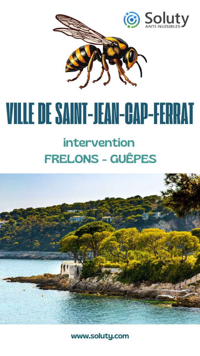 Société de désinsectisation de frelons ou de guêpes et exterminateur de nuisibles à Saint-Jean-Cap-Ferrat (06230)