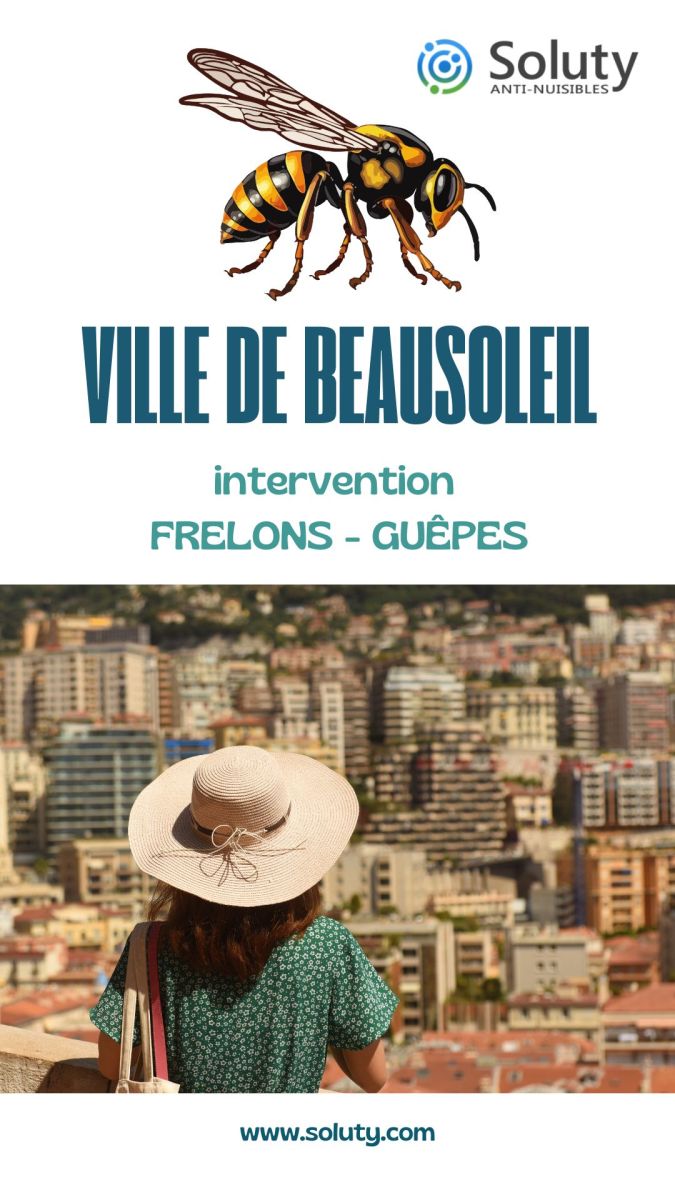 Société de désinsectisation de frelons ou de guêpes et exterminateur de nuisibles à Beausoleil (06240)