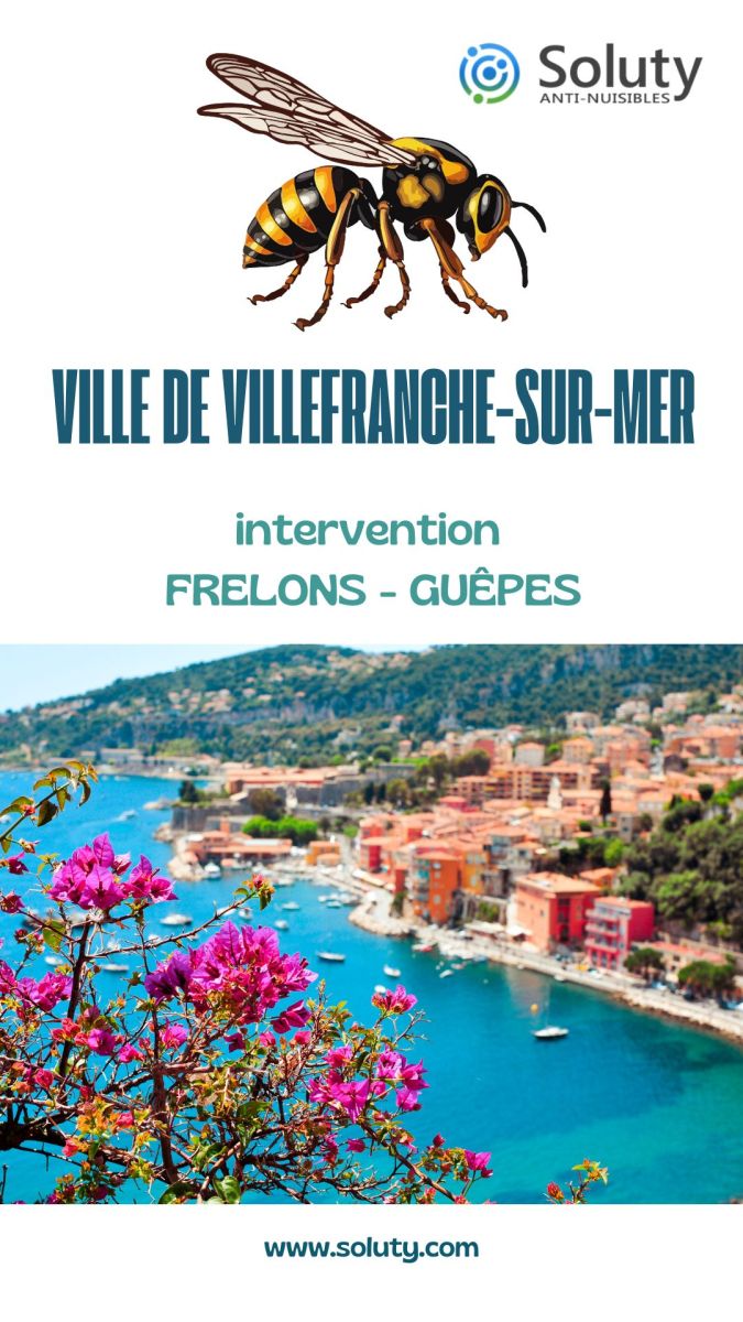 Société de désinsectisation de frelons ou de guêpes et exterminateur de nuisibles à Villefranche-sur-Mer (06230)