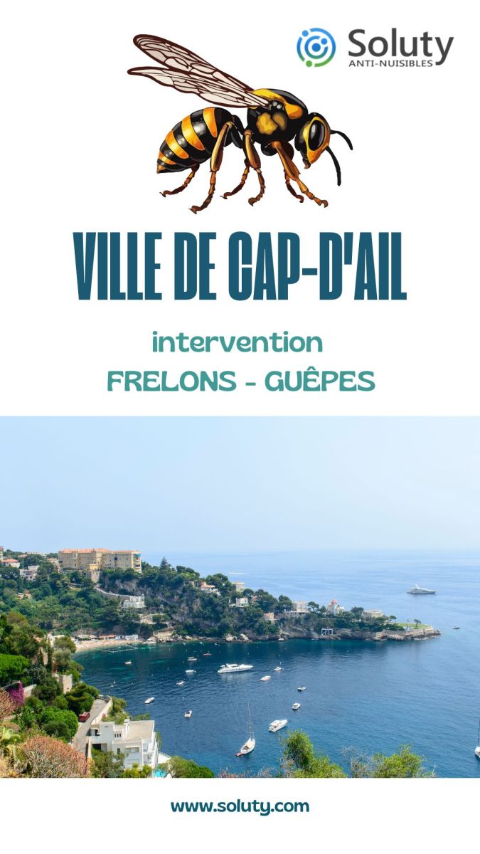 Société de désinsectisation de frelons ou de guêpes et exterminateur de nuisibles à Cap-d'Ail (06320)