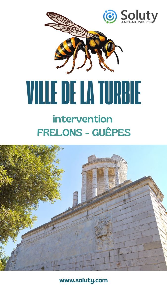 Société de désinsectisation de frelons ou de guêpes et exterminateur de nuisibles à la Turbie (06320)