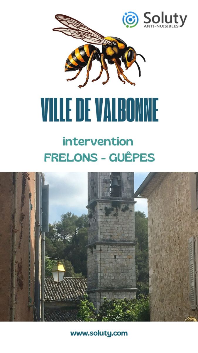 Société de désinsectisation de frelons ou de guêpes et exterminateur de nuisibles à Valbonne (06560)