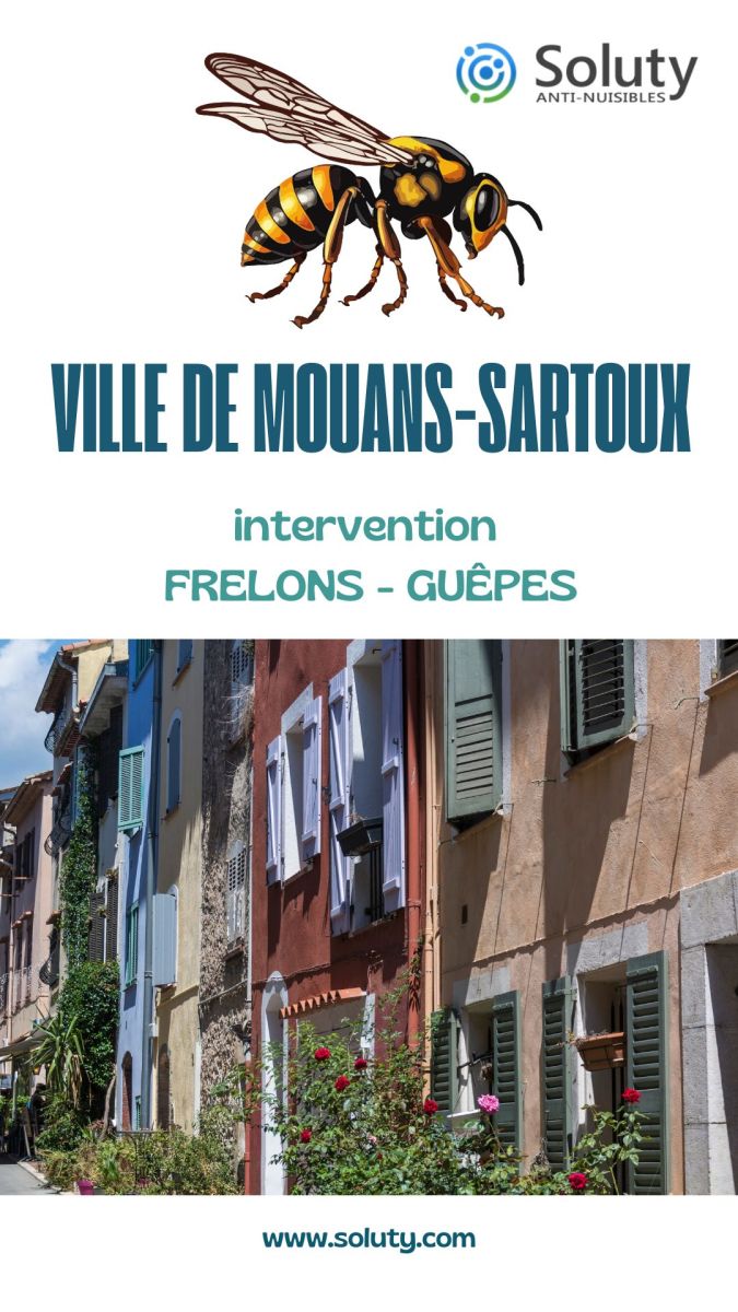 Société de désinsectisation de frelons ou de guêpes et exterminateur de nuisibles à Mouans-Sartoux (06370)