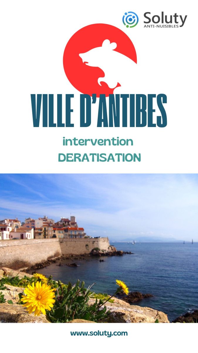 Société de dératisation et exterminateur de nuisibles à Antibes (06600)