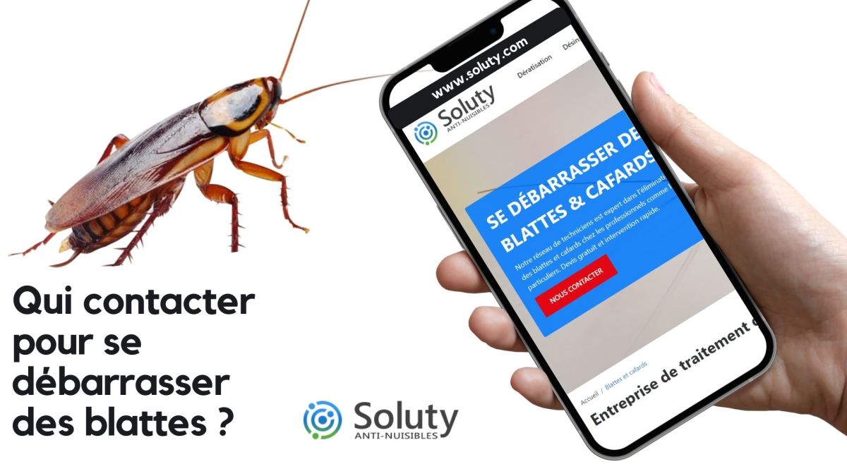 Qui appeler pour se débarrasser des cafards à Saint-Lô ?