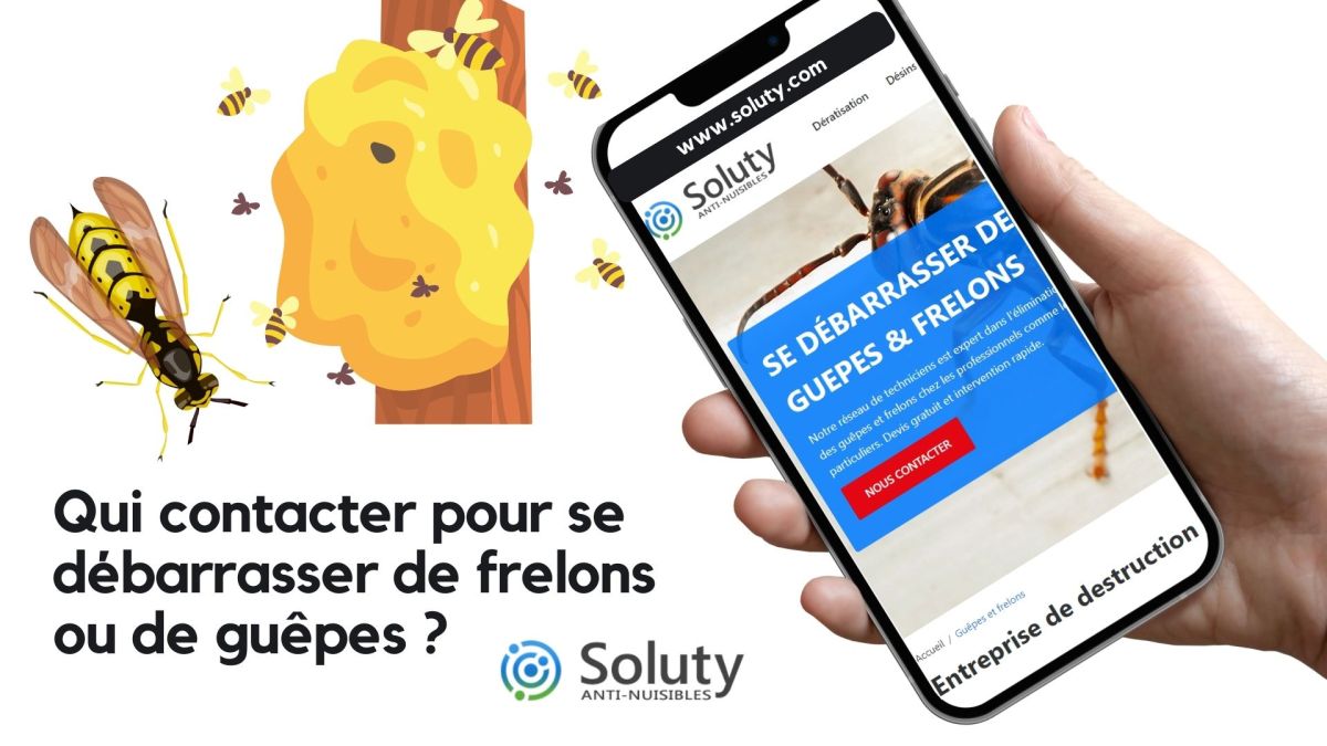 Qui appeler pour se débarrasser des guêpes ou des frelons à Langres ?