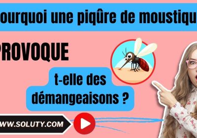 Pourquoi une piqure de moustique provoque t elle des demangeaisons