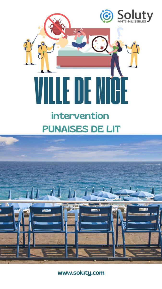 Société de désinsectisation de punaises de lit et exterminateur de nuisibles à Nice (06)