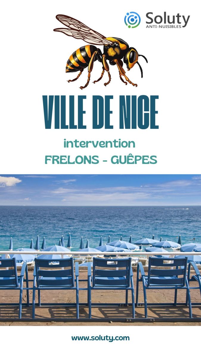 Société de désinsectisation de frelons ou de guêpes et exterminateur de nuisibles à Nice (06000)