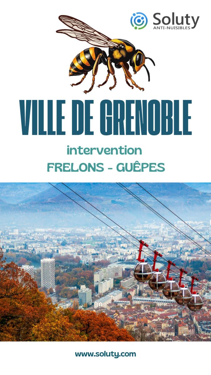 Société de désinsectisation de frelons ou de guêpes et exterminateur de nuisibles à Grenoble (38000)