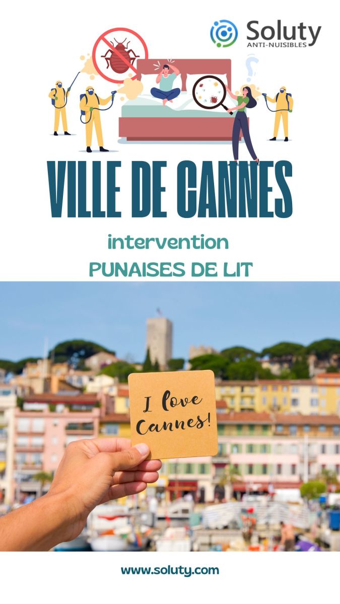 Société de désinsectisation de punaises de lit et exterminateur de nuisibles à Cannes (06400)