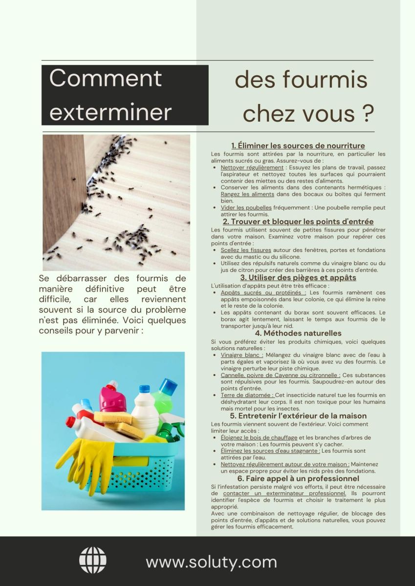 fiche conseils pratiques : Comment se débarrasser des fourmis une bonne fois pour toute ?