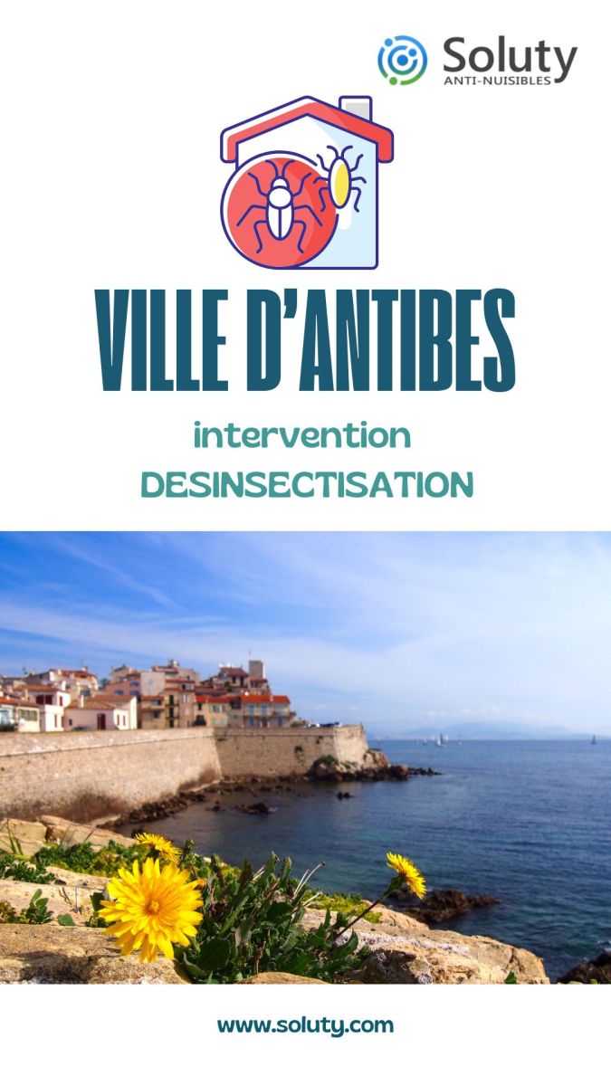 Société de désinsectisation et exterminateur de nuisibles à Antibes (06160)