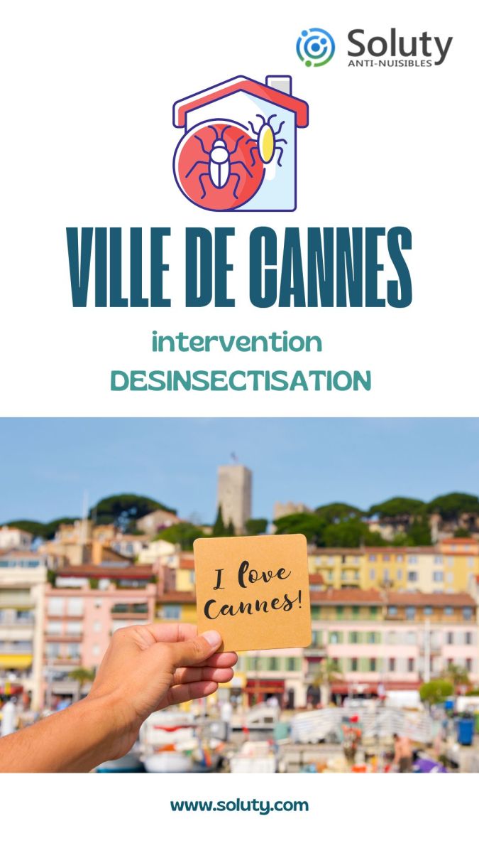 Société de désinsectisation et exterminateur de nuisibles à Cannes (06400)