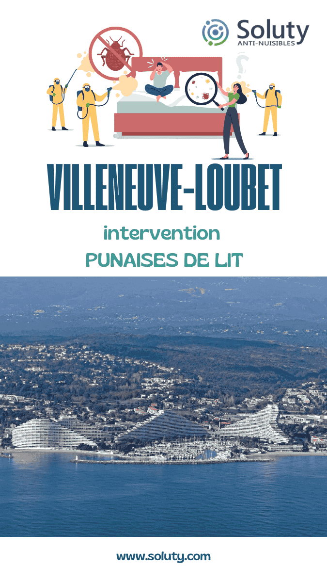 Société de désinsectisation de punaises de lit et exterminateur de nuisibles à Villeneuve-Loubet (06270)