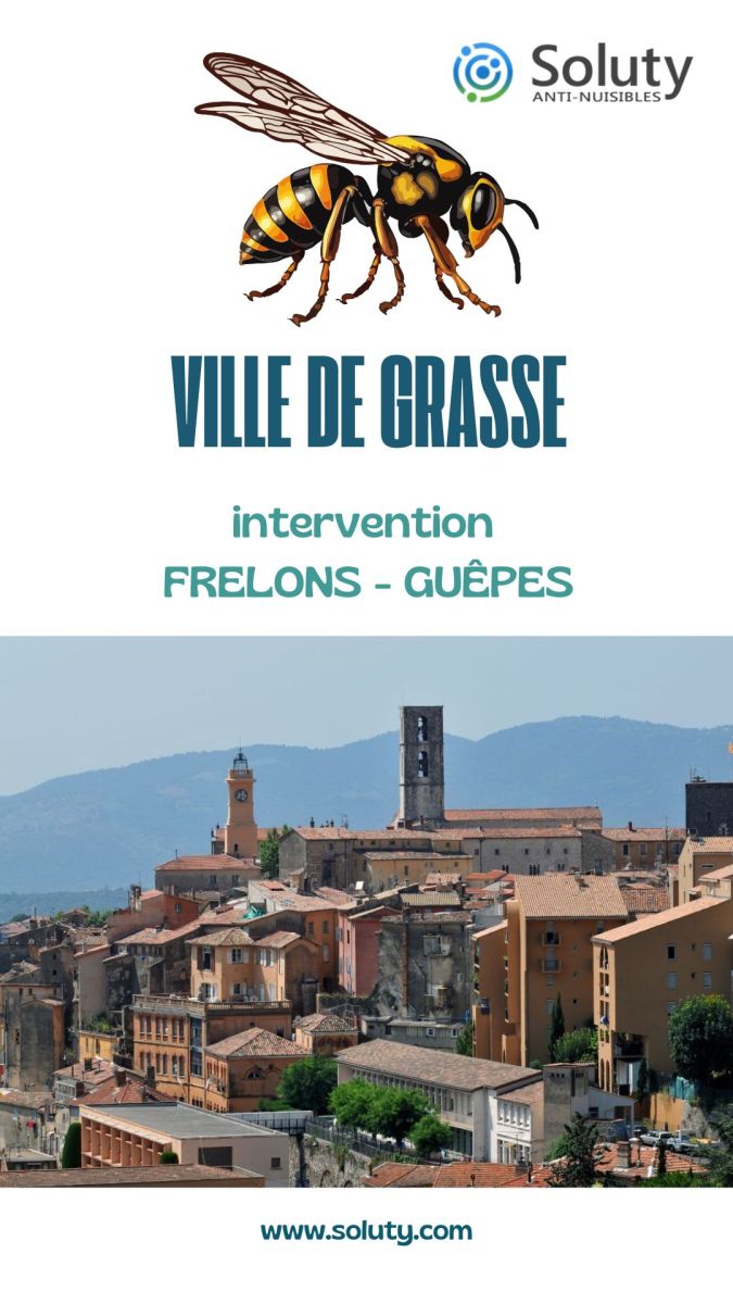 Société de désinsectisation de frelons ou de guêpes et exterminateur de nuisibles à Grasse (06130)