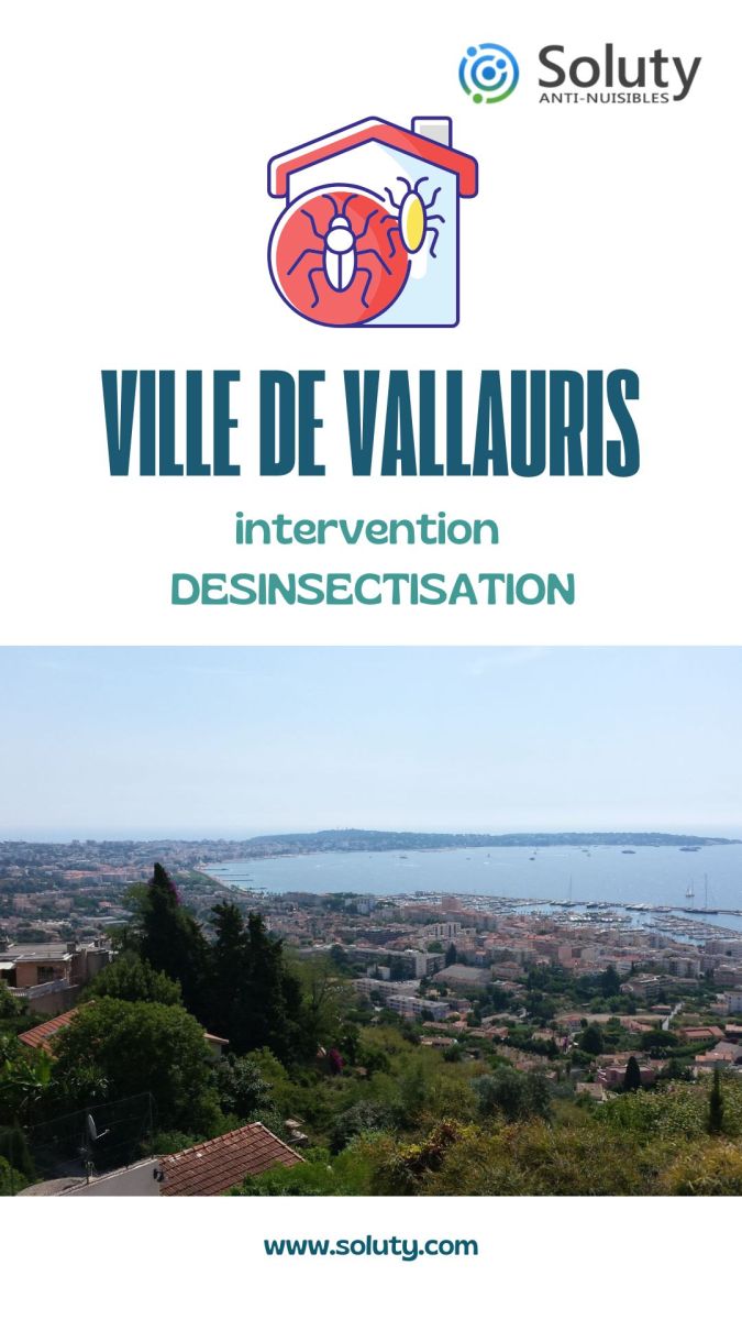 Société de désinsectisation et exterminateur de nuisibles à Vallauris